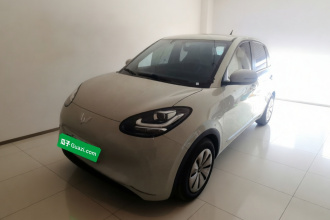 五菱汽车 五菱缤果 2023款 203km 轻享款