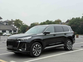 星途揽月 2023款 400T 四驱星尊版 6座