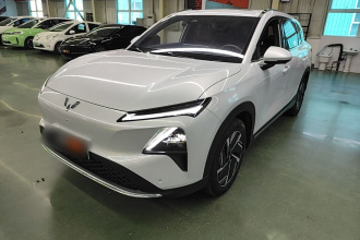 五菱汽车 五菱星光S 2024款 510km 旗舰型