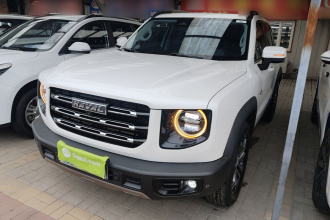 哈弗大狗 2021款 1.5T DCT两驱边牧版