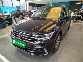 大众 途观L新能源 2023款 430PHEV 插电混动尊贵版