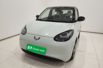 五菱汽车 五菱缤果 2024款 333km 悦享款
