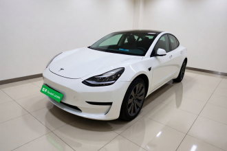 特斯拉 Model 3(进口) 2019款 长续航全轮驱动版