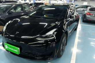 特斯拉 Model 3 2020款 标准续航后驱升级版