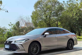 丰田 亚洲龙 2022款 2.5L Touring尊贵版