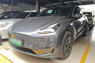特斯拉 Model Y 2022款 改款 长续航全轮驱动版