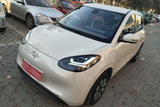 五菱汽车 五菱缤果 2023款 333km 悦享款