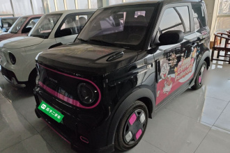 吉利银河 2024款 200km 熊猫卡丁