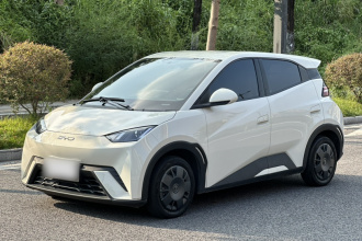 比亚迪 海鸥 2024款 荣耀版 305km 活力版