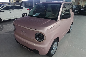 吉利银河 2024款 熊猫mini 200km 耐力熊
