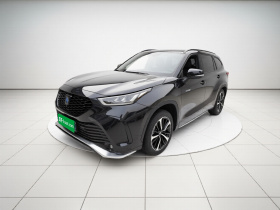 丰田 皇冠陆放 2021款 2.5L HEV四驱尊贵版