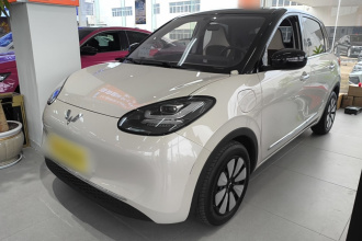 五菱汽车 五菱缤果 2024款 333km 悦享款