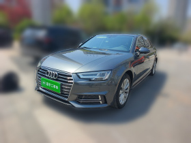 奥迪A4L 2019款 40 TFSI 进取型 国VI