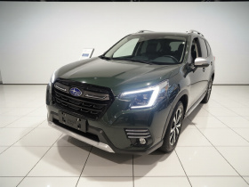 斯巴鲁 森林人 2022款 2.0i AWD旗舰版EyeSight