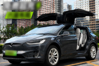 特斯拉 Model X 2019款 长续航版