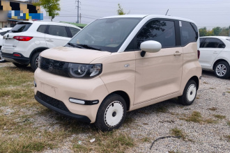 奇瑞QQ QQ冰淇淋 2025款 205km 元气版