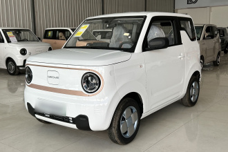 吉利银河 2024款 熊猫mini 200km 耐力熊