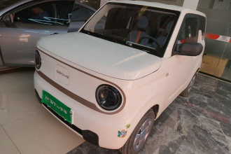 吉利银河 2023款 熊猫mini 200km 耐力熊