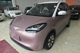 五菱汽车 五菱缤果 2023款 333km 灵犀互联款