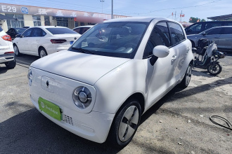 欧拉黑猫 2021款 301km 基础型