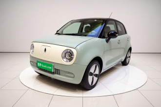 欧拉黑猫 2021款 301km 基础型