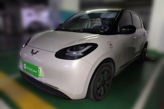 五菱汽车 五菱缤果 2023款 333km 灵犀互联+款