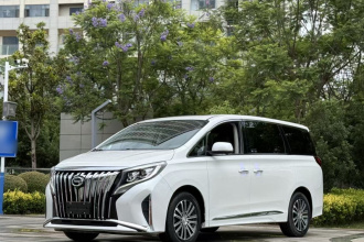 广汽传祺 传祺M8 2023款 领秀系列 390T 尊贵版
