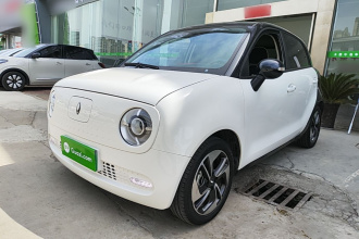 欧拉黑猫 2022款 351km 舒适型 三元锂