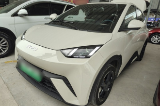 比亚迪 海鸥 2024款 荣耀版 305km 自由版