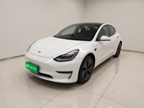 特斯拉 Model 3 2020款 标准续航后驱升级版