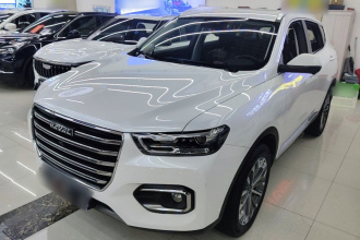 哈弗H6 2020款 1.5GDIT 自动铂金冠军版