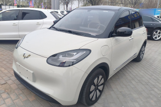 五菱汽车 五菱缤果 2024款 333km 悦享款