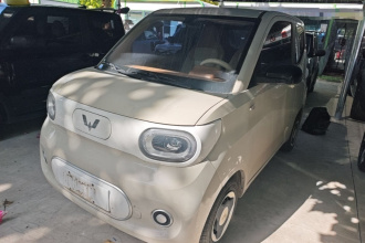 五菱汽车 宏光MINIEV 2024款 第三代 215km 青春版