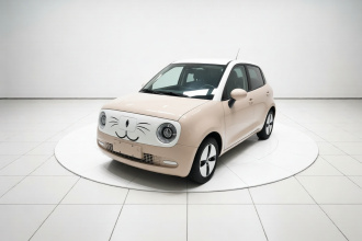 欧拉黑猫 2021款 301km 萌宠版