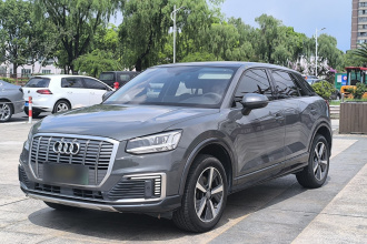 奥迪Q2L e-tron 2019款 Q2L e-tron 纯电智享型