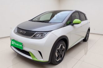 比亚迪 海豚 2021款 405km 时尚版