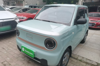 吉利银河 2024款 熊猫mini 200km 耐力熊