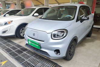 零跑汽车 零跑T03 2023款 310轻享版