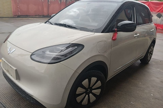 五菱汽车 五菱缤果 2024款 333km 悦享款