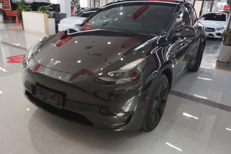 特斯拉 Model Y 2024款 后轮驱动版