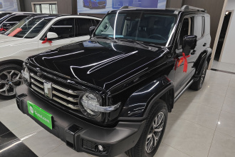 坦克300 2024款 2.0T 穿越者