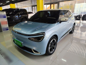 东风纳米 纳米01 2024款 430 Plus智+