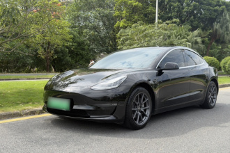 特斯拉 Model 3 2020款 改款 长续航后轮驱动版
