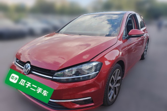 大众 高尔夫 2019款 280TSI DSG豪华型 国VI