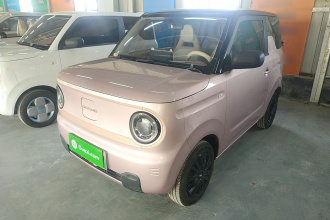 吉利银河 2024款 熊猫mini 200km 耐力熊