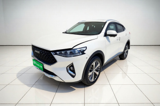 哈弗F7x 2019款 1.5T 两驱极智潮玩版