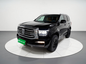 坦克500新能源 2023款 Hi4-T