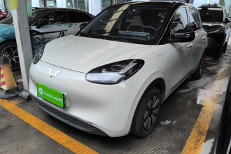 五菱汽车 五菱缤果 2024款 333km 悦享款