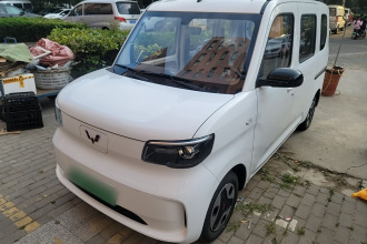 五菱汽车 五菱之光新能源 2025款 305km 进取型