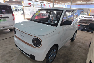 吉利银河 2024款 熊猫mini 200km 耐力熊